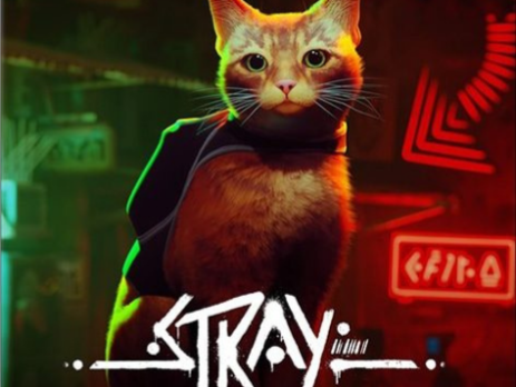 Stray Ps5